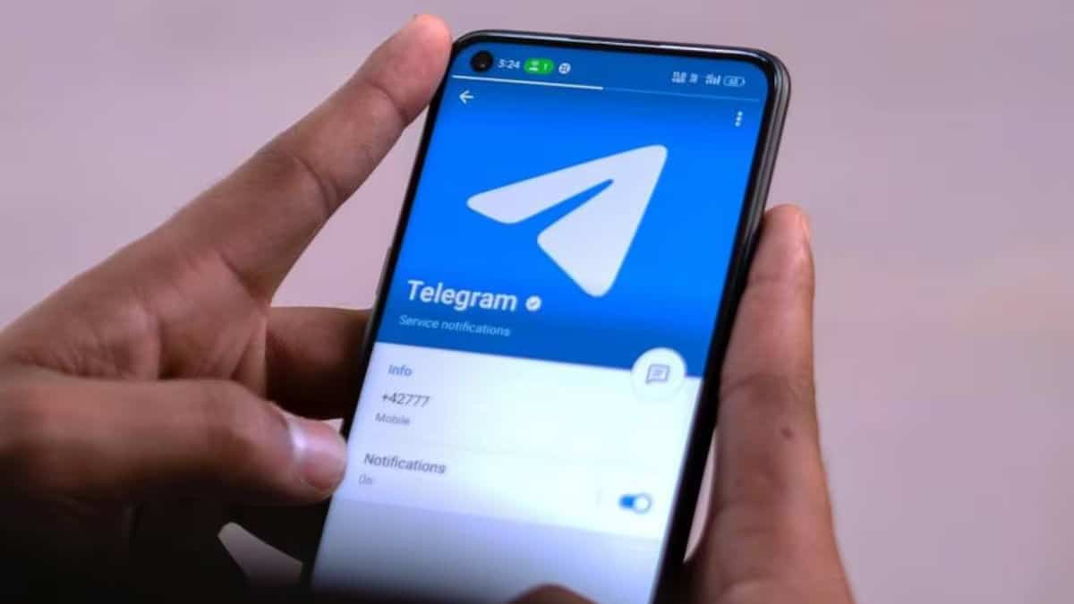 Cómo acceder y descargar libros gratis, la biblioteca secreta en Telegram