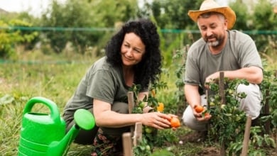 Compromiso con la tierra: la apuesta de Santander por el agro español