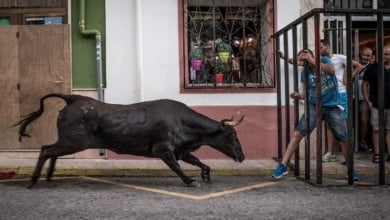Un hombre permanece en la UCI tras sufrir una cogida por hasta de toro