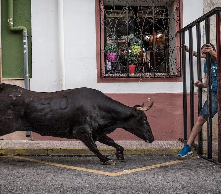 Un hombre permanece en la UCI tras sufrir una cogida por hasta de toro