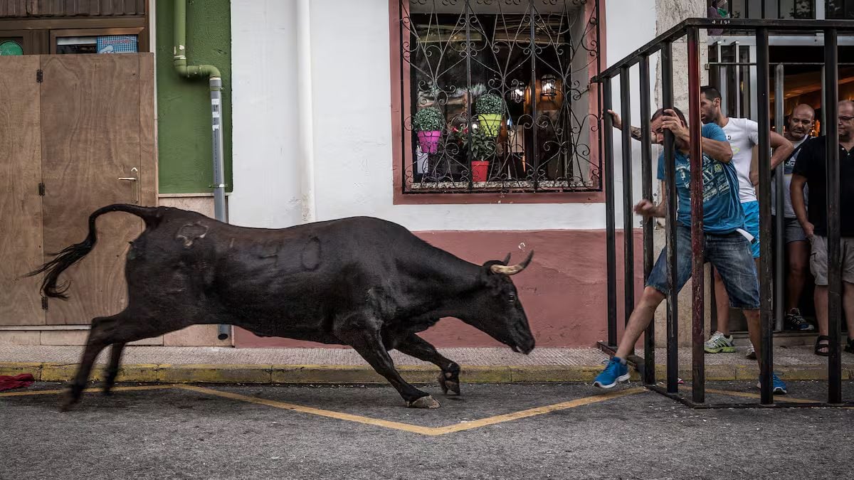 Un hombre permanece en la UCI tras sufrir una cogida por hasta de toro