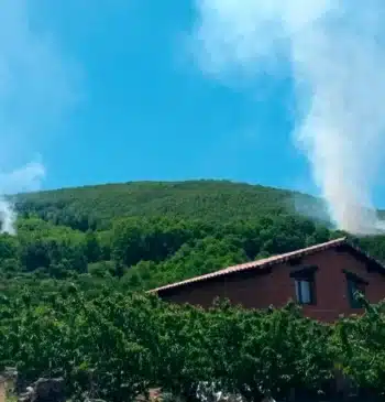 Prisión provisional para un hombre por prender siete focos en un paraje [...]