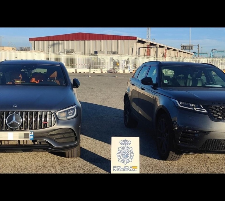 Diez detenidos y 13 coches robados recuperados en el puerto de Algeciras