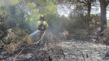 Infoca sigue con tareas de extinción tras el incendio en Puerto Real del lunes
