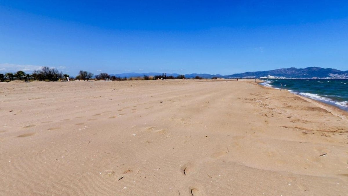 Can Comas: la primera playa de la Costa Brava donde está prohibido bañarse para preservar la biodiversidad