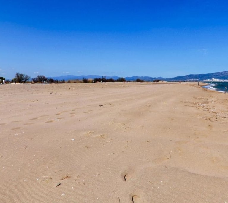 Can Comas: la primera playa de la Costa Brava donde está prohibido bañarse para preservar la biodiversidad