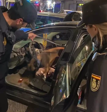 Seis detenidos en operativo policial de prevención en el barrio de Orriols [...]