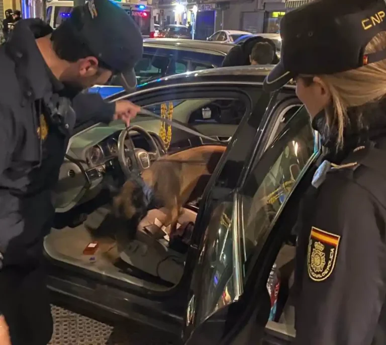 Seis detenidos en operativo policial de prevención en el barrio de Orriols en Valencia