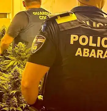 Desmantelan un invernadero de cultivo intensivo y continuo de marihuana en Abarán [...]