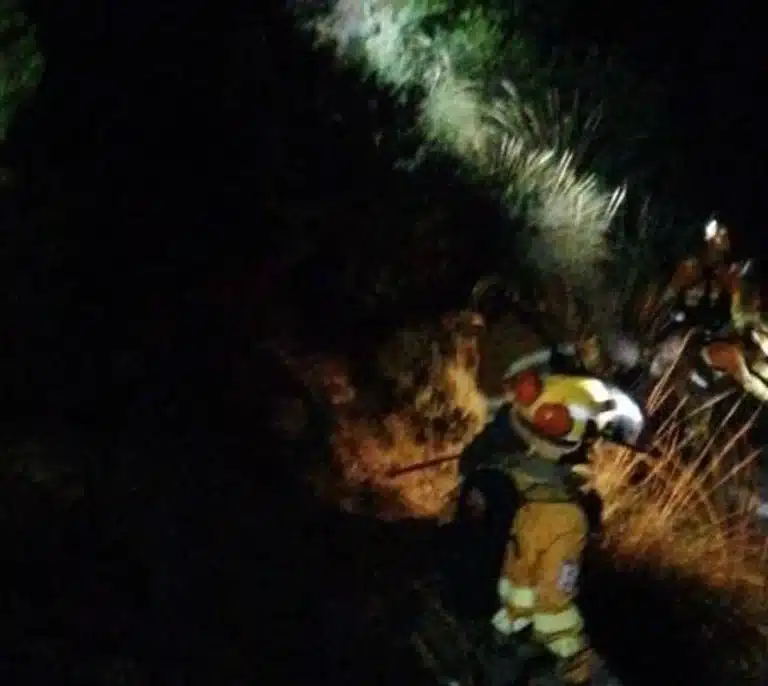 Investigan las causas de un conato de incendio forestal en Cabo Tiñoso, Cartagena