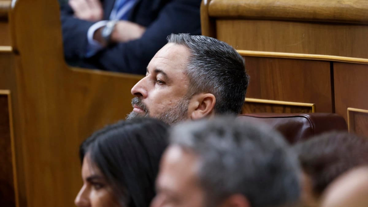 Santiago Abascal, presidente de Vox, en una sesión parlamentaria en el Congreso