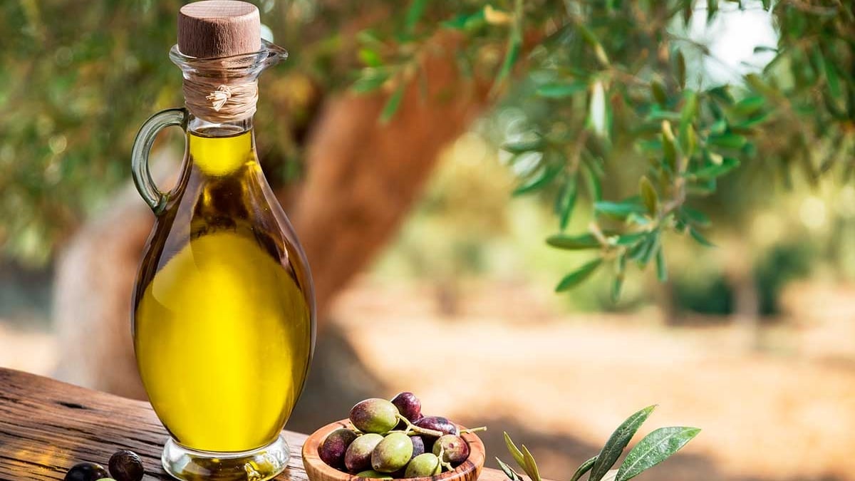 ¿Qué hace que un aceite de oliva sea excelente?