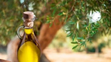 ¿Qué hace que un aceite de oliva sea excelente?