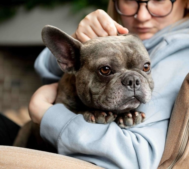 Advance lanza el Vitality Test, la herramienta digital que mejora la vida de los perros senior