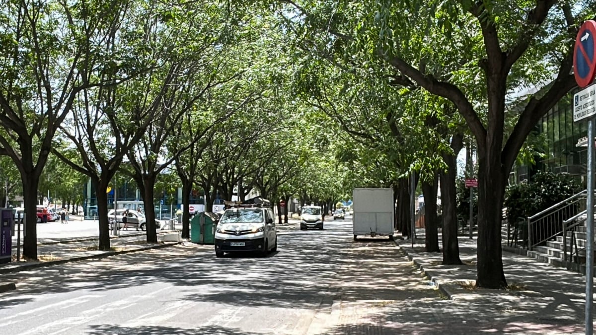 SEVILLA, 07/06/2025.- Imagen de la calle Aviación de Sevilla, donde este sábado era asesinado un joven de unos 20 años junto a una discoteca, en un suceso que investiga la Policía Nacional. EFE/Fermín Cabanillas