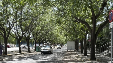Segundo apuñalamiento mortal en una semana en Sevilla