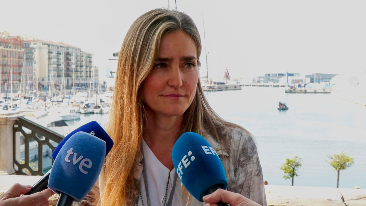 Aagesen pide celeridad a las energéticas en la entrega de datos del apagón: "Llegan con cuentagotas"