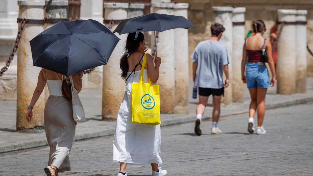 Unos turistas se protegen con paraguas del sol este domingo junto a la catedral de Sevilla.