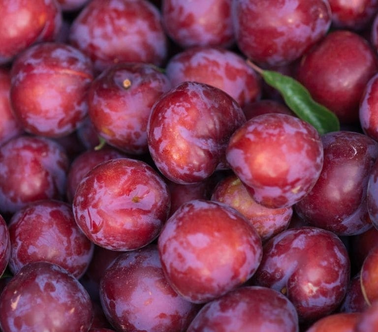 Estos es lo que le ocurre a tu cuerpo si comes ciruelas todos los días