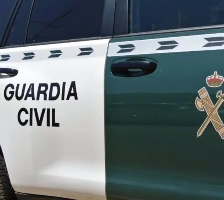 Detenidos dos hermanos por robo de objetos de playa y gafas en Los Barrios