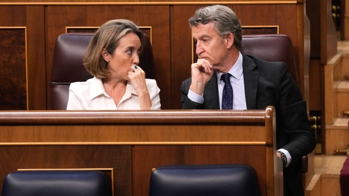 El líder del PP, Alberto Núñez Feijóo conversa con la diputada Cuca Gamarra, durante el pleno celebrado este jueves en la Cámara Baja.