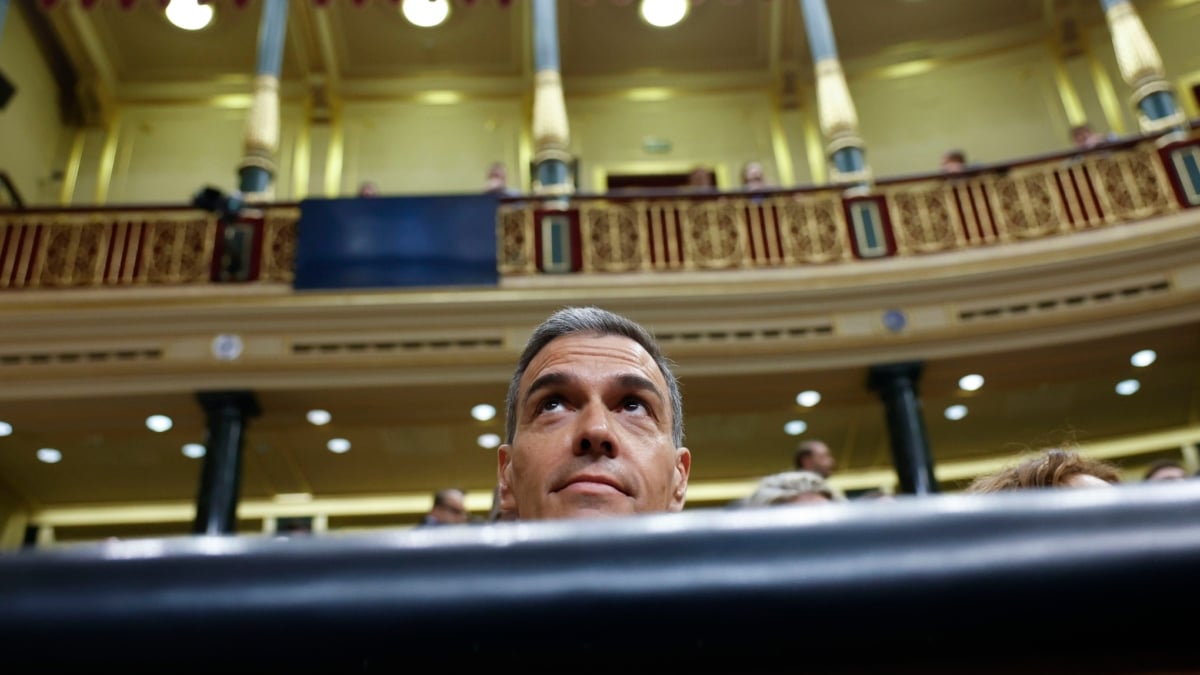 FOTODELDÍA MADRID, 11/06/2025.- El presidente del Gobierno, Pedro Sánchez, al inicio de la sesión de control al Ejecutivo este miércoles en el Congreso. EFE/ Juan Carlos Hidalgo