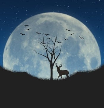 Calendario lunar julio 2025: la 'luna del ciervo' y estrellas fugaces
