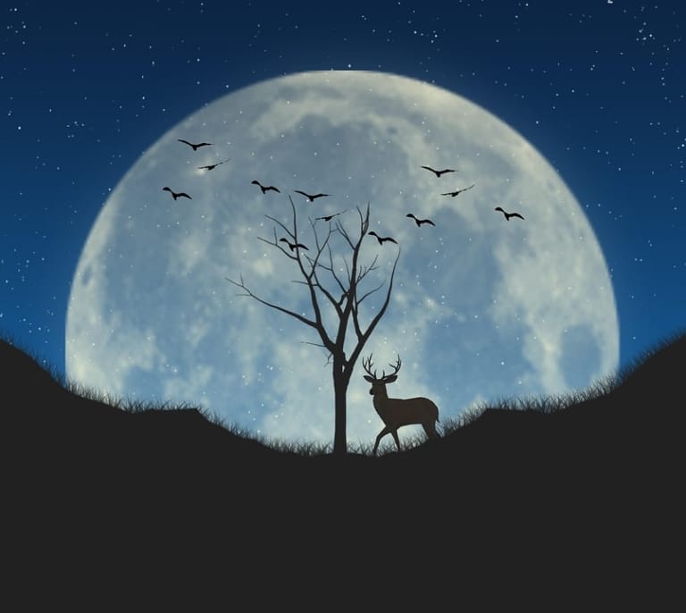 Calendario lunar julio 2025: la 'luna del ciervo' y estrellas fugaces
