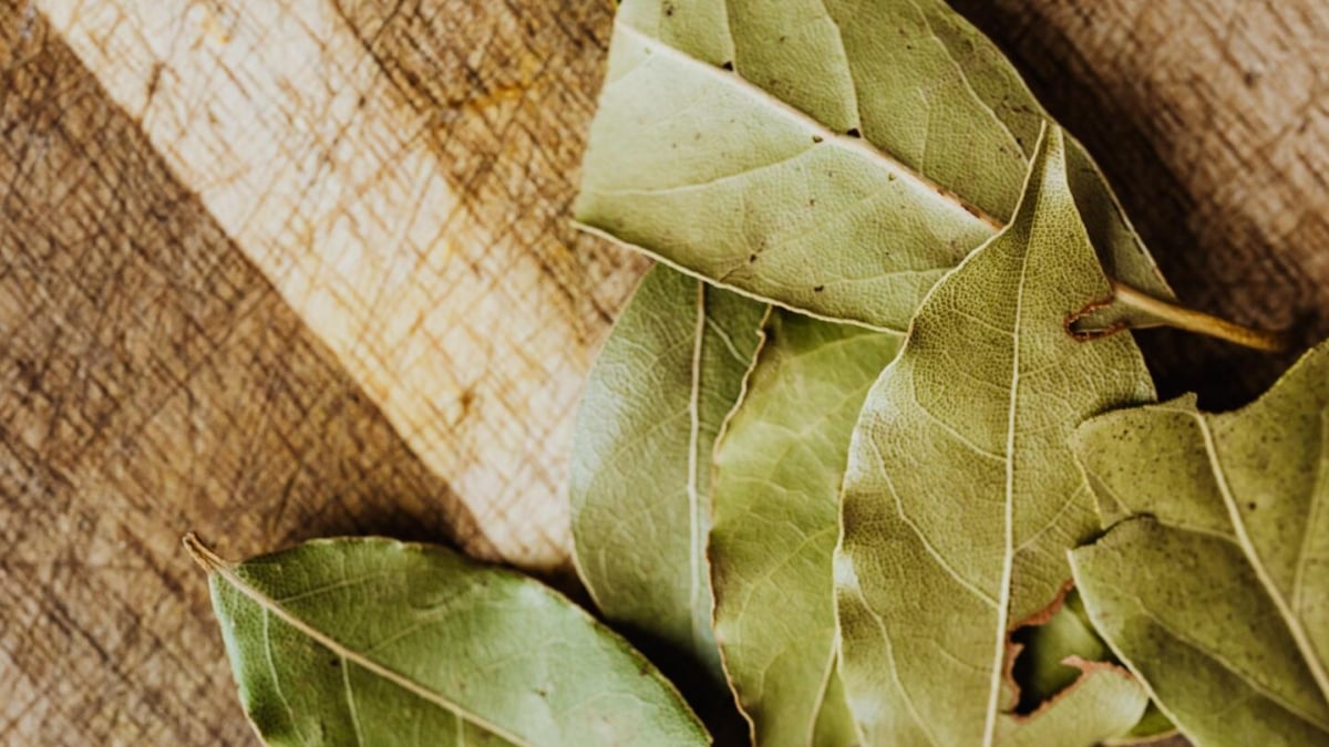 Dónde colocar hojas de laurel en casa para atraer abundancia, según el Feng Shui