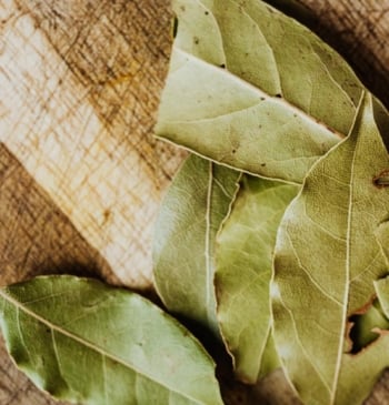 Dónde colocar hojas de laurel en casa para atraer abundancia, según el [...]