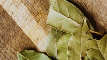 Dónde colocar hojas de laurel en casa para atraer abundancia, según el Feng Shui