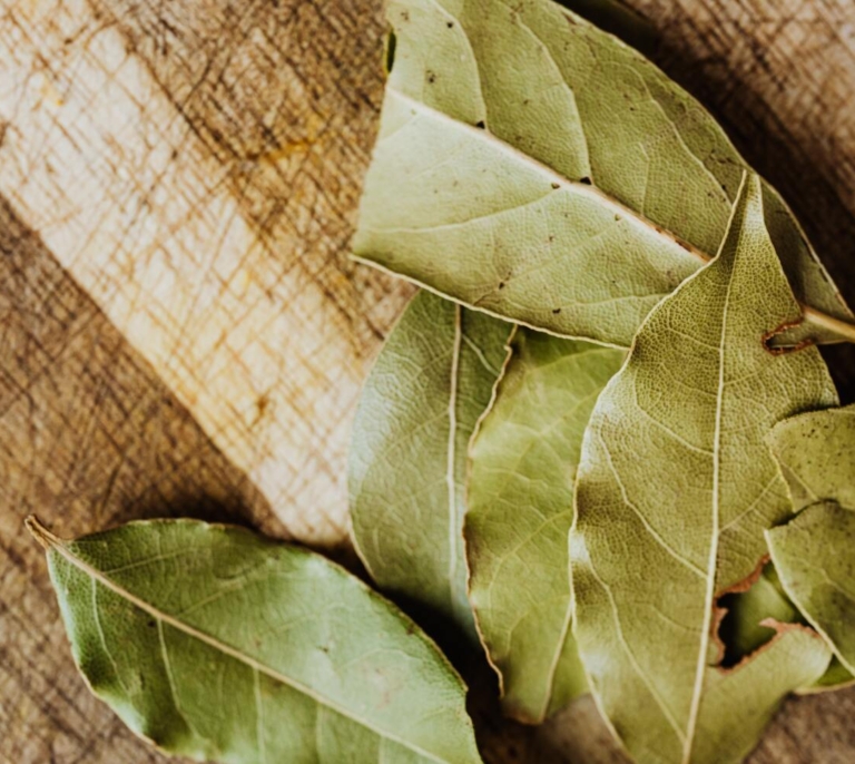 Dónde colocar hojas de laurel en casa para atraer abundancia, según el Feng Shui
