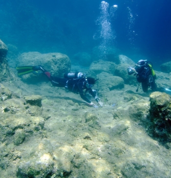 La invasión que transforma el Mediterráneo: “En algunas zonas el lecho marino [...]