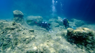La invasión que transforma el Mediterráneo: “En algunas zonas el lecho marino parece un paisaje lunar”