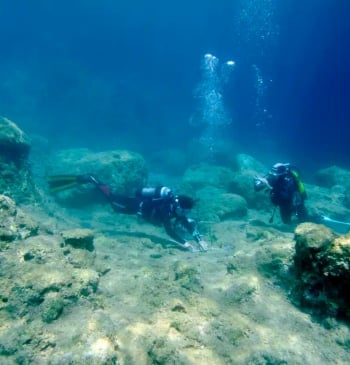 La invasión que transforma el Mediterráneo: “En algunas zonas el lecho marino [...]