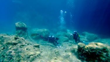 La invasión que transforma el Mediterráneo: “En algunas zonas el lecho marino parece un paisaje lunar”