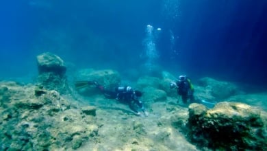 La invasión que transforma el Mediterráneo: “En algunas zonas el lecho marino parece un paisaje lunar”