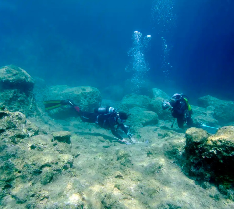 La invasión que transforma el Mediterráneo: “En algunas zonas el lecho marino parece un paisaje lunar”