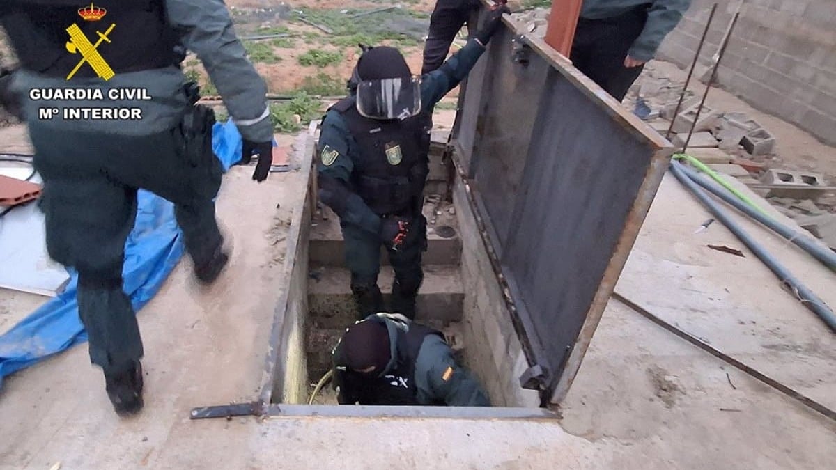 Desmantelan tres centros con 800 plantas de cannabis en El Salobral, Albacete