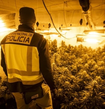 Desarticulada banda de 9 personas por tráfico internacional de marihuana