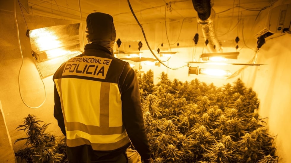 Desarticulada banda de 9 personas por tráfico internacional de marihuana