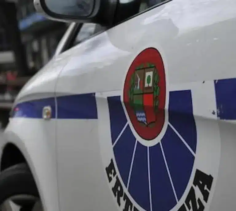 Los enfrentamientos en una concentración de Falange Española en Vitoria se saldan con 19 jóvenes detenidos