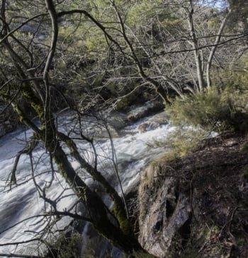 Rescatados cuatro excursionistas que se encontraban perdidos cuando bajaban a un refugio [...]