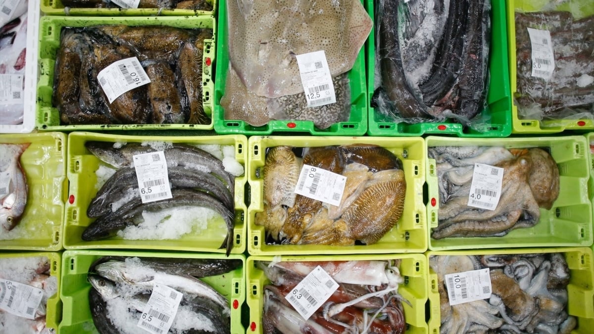 Cajas con pescado en la lonja de Burela, a 19 de diciembre de 2023, en Burela, Lugo, Galicia (España).