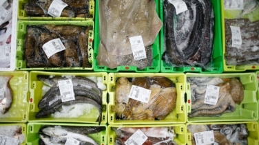Los españoles dan la espalda al pescado 