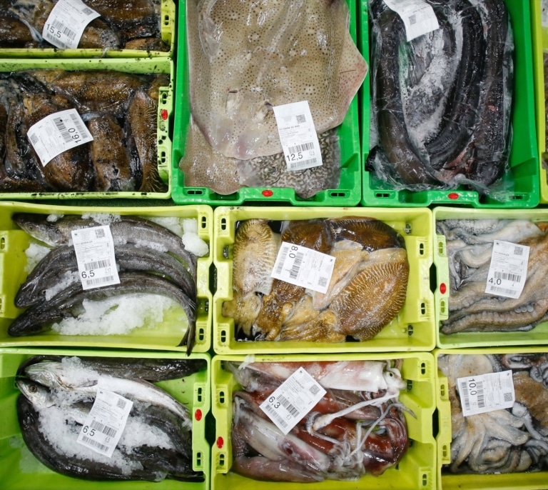 Los españoles dan la espalda al pescado 