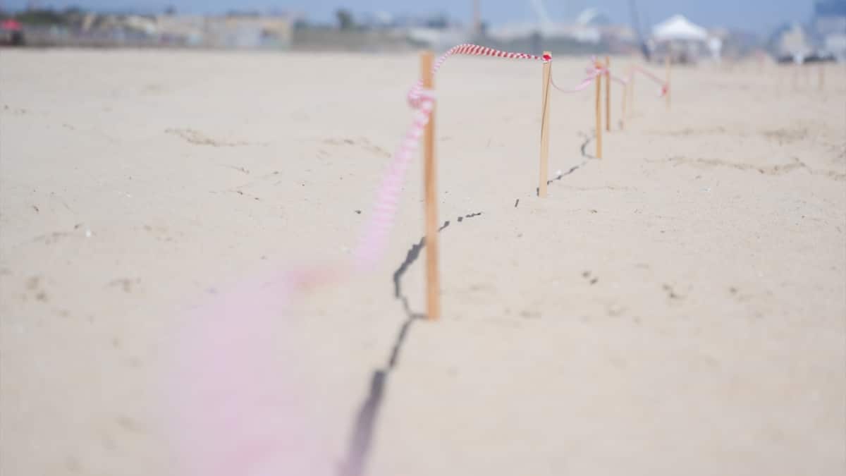 Playa del Saler en Valencia, Comunidad Valenciana (España).