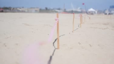 Las playas del sur de Valencia siguen cerradas tras detectarse un posible vertido marino 