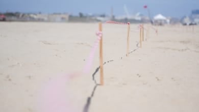 Las playas del sur de Valencia siguen cerradas tras detectarse un posible vertido marino 
