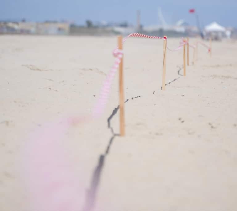 Las playas del sur de Valencia siguen cerradas tras detectarse un posible vertido marino 